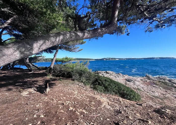 Istrian Azure 풀라