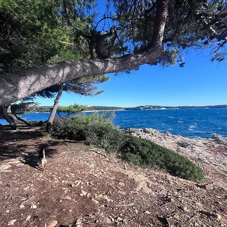 Istrian Azure Pula